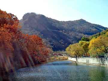 管家婆黑白马报图库，重生都市